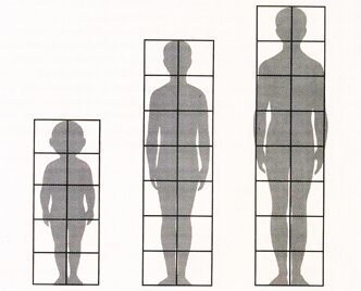 Схема соотношений пропорций взрослого, подростка и малыша 