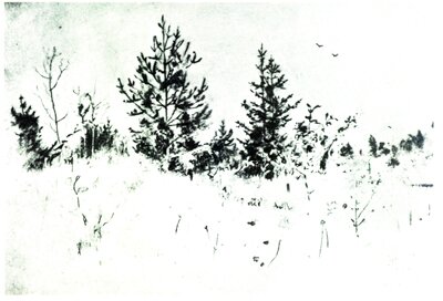 А. Рылов. Пейзаж. Карандаш. 1892.