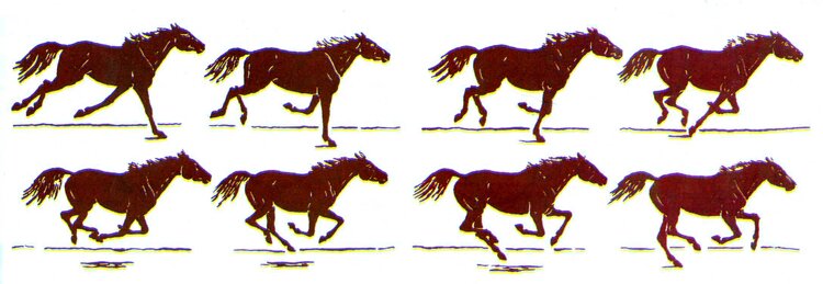 Последовательность движения бегущей лошади (по А.Лаптеву)