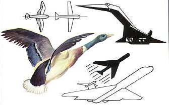 Проектирование самолета на основе формы птицы 